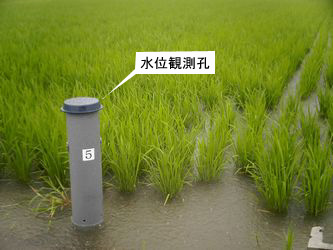 水田貯留検査