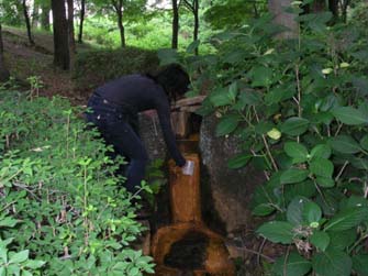 湧き水調査